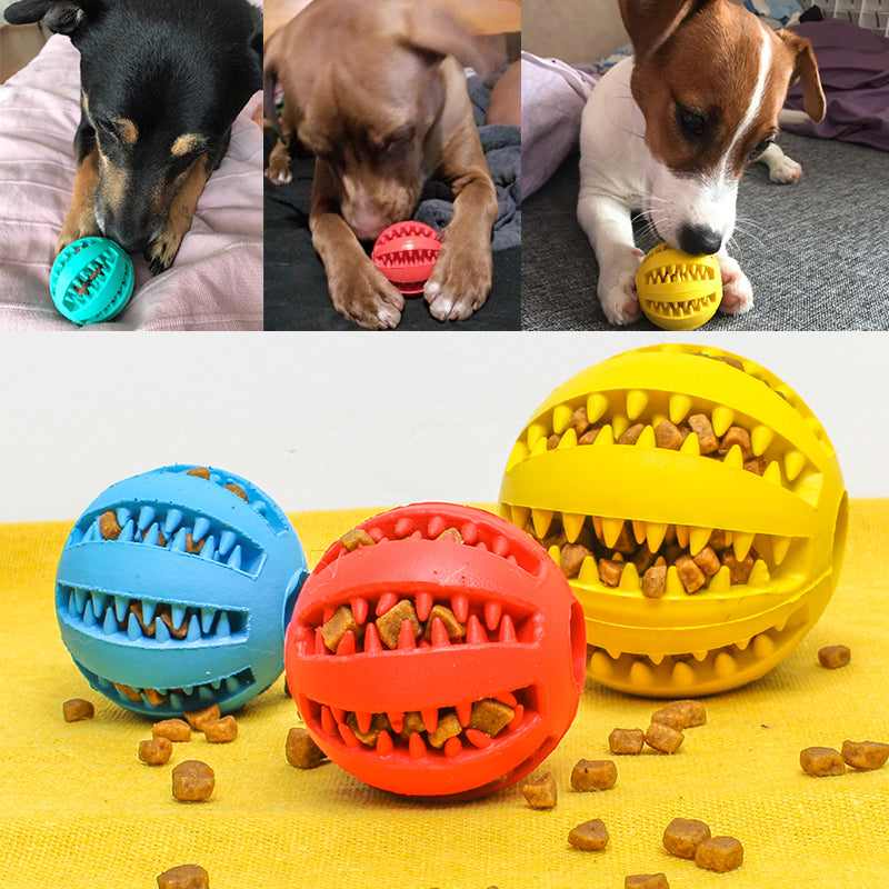 Pet Slow Feeder Toy Ball