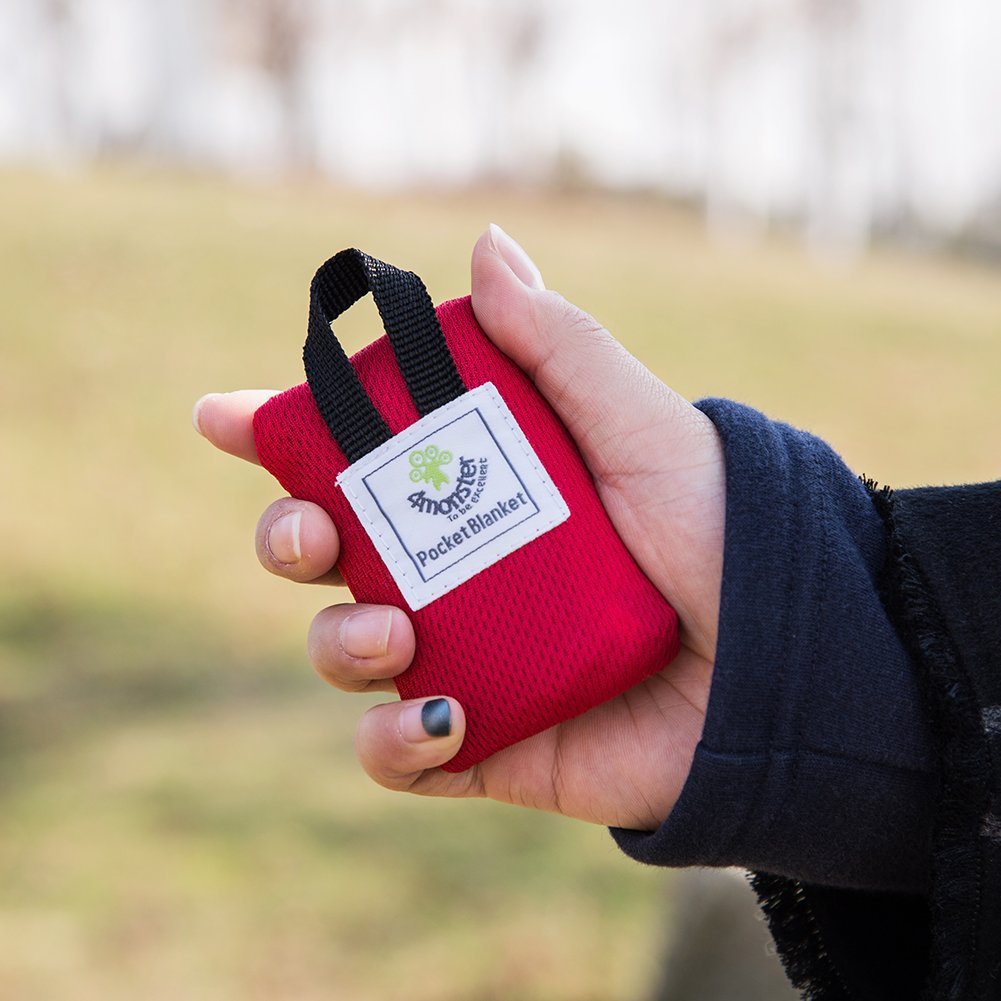 Mini Pocket Picnic Mat