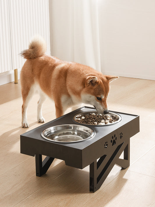 Dog Feeder Bowl