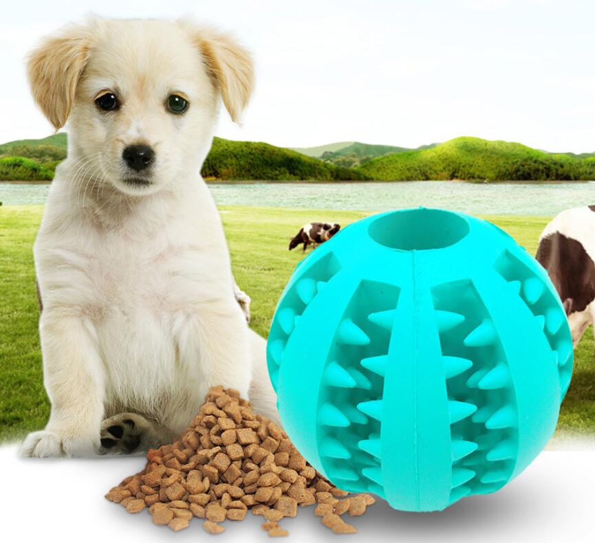 Pet Slow Feeder Toy Ball