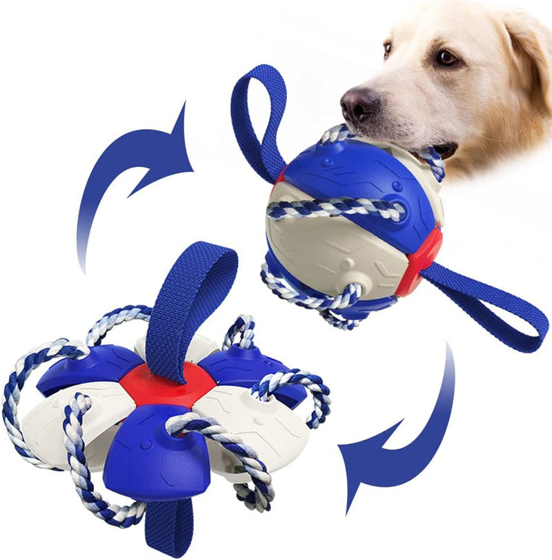 Interactive Dog Soccer Ball Toy