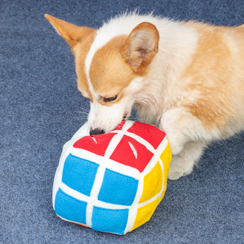 Pet Rubik's Cube Sniffing Toy