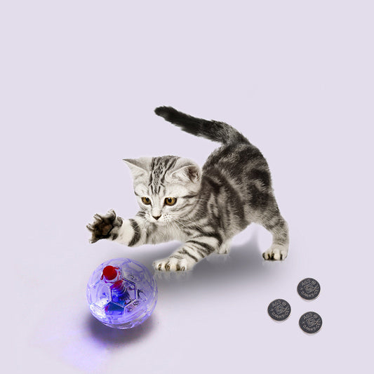 Cat Dog Toy Ball