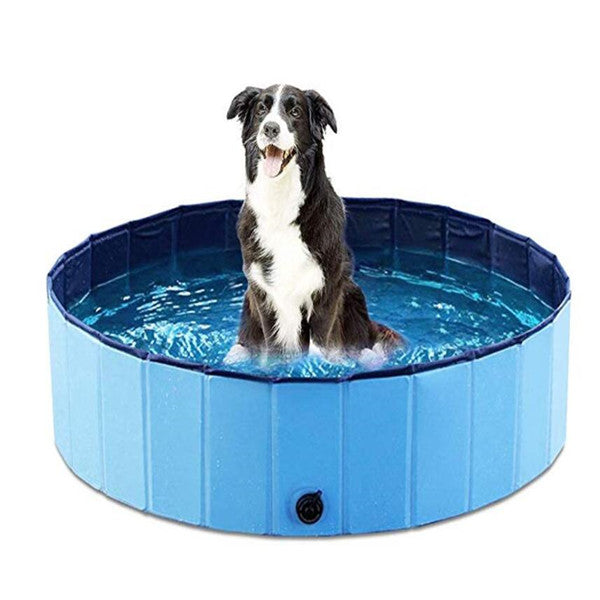 Dog Swimming Pool