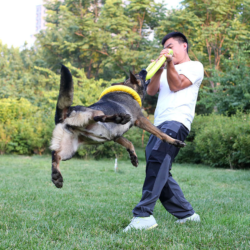 Pet Frisbee