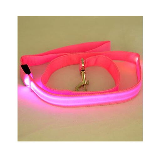 LED Illuminated Traction Nylon Pet Leash