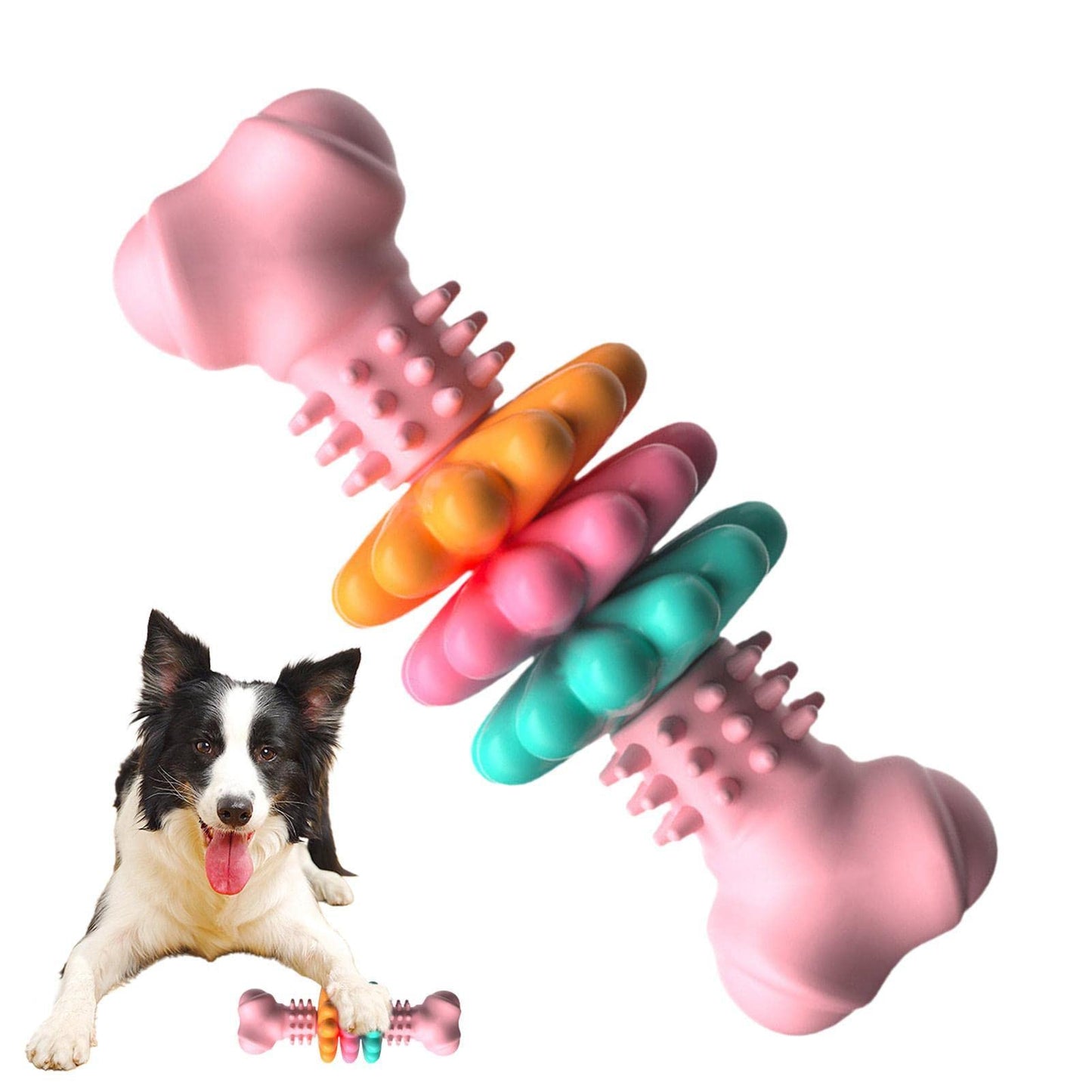 Dog Toy