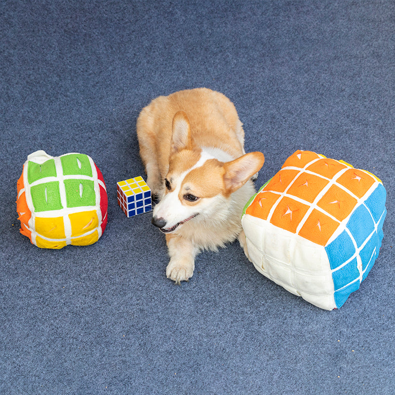 Pet Rubik's Cube Sniffing Toy