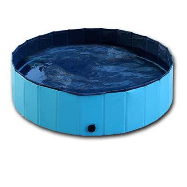 Dog Swimming Pool