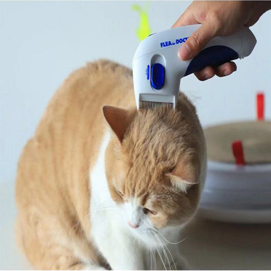 Pet electric comb