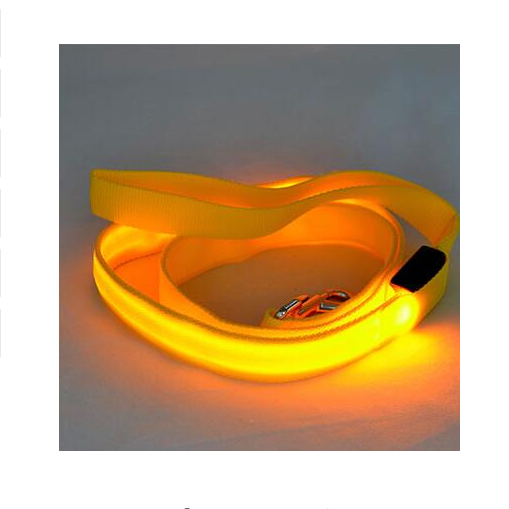 LED Illuminated Traction Nylon Pet Leash