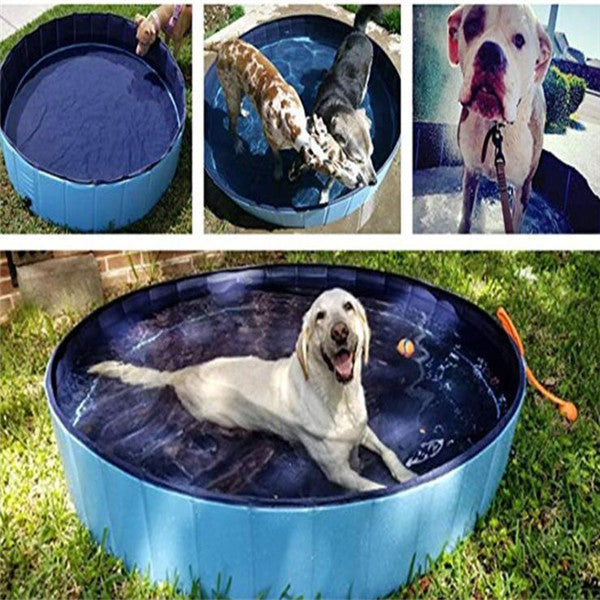 Dog Swimming Pool