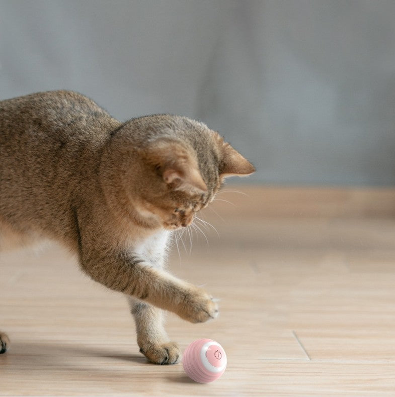 Automatic Moving Bouncing Rolling Ball For Cat