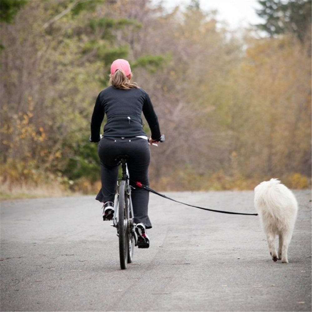 Bicycle Traction Dog Chain