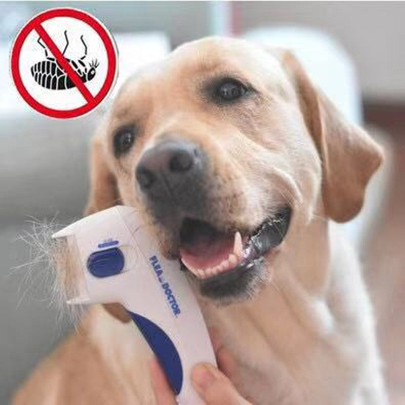 Pet electric comb