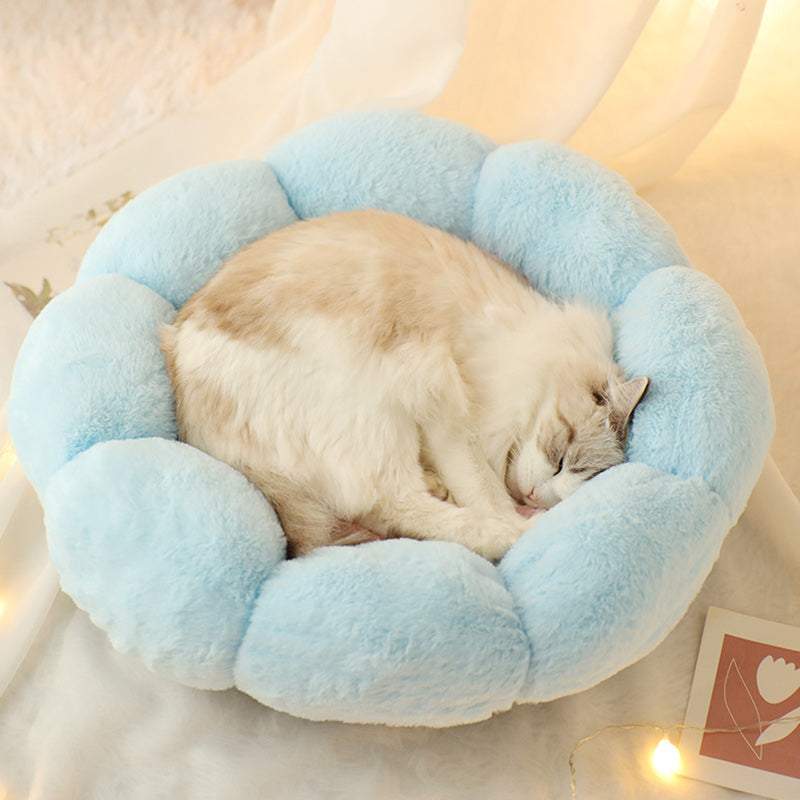 Cat Bed