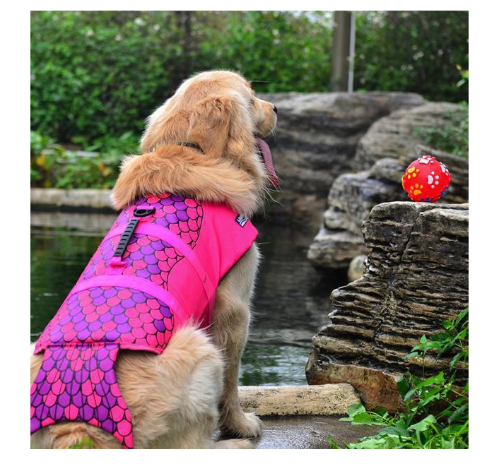 Pet life jacket