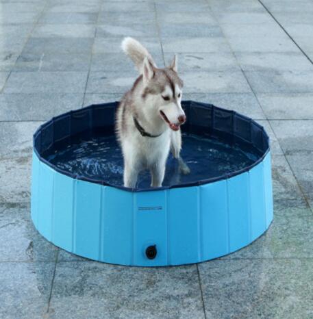 Dog Swimming Pool