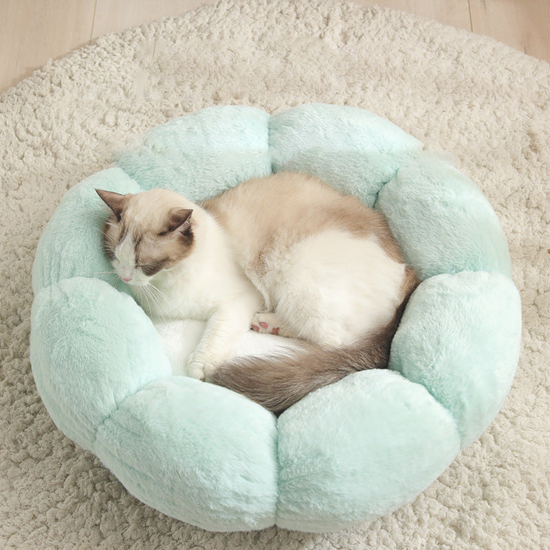 Cat Bed