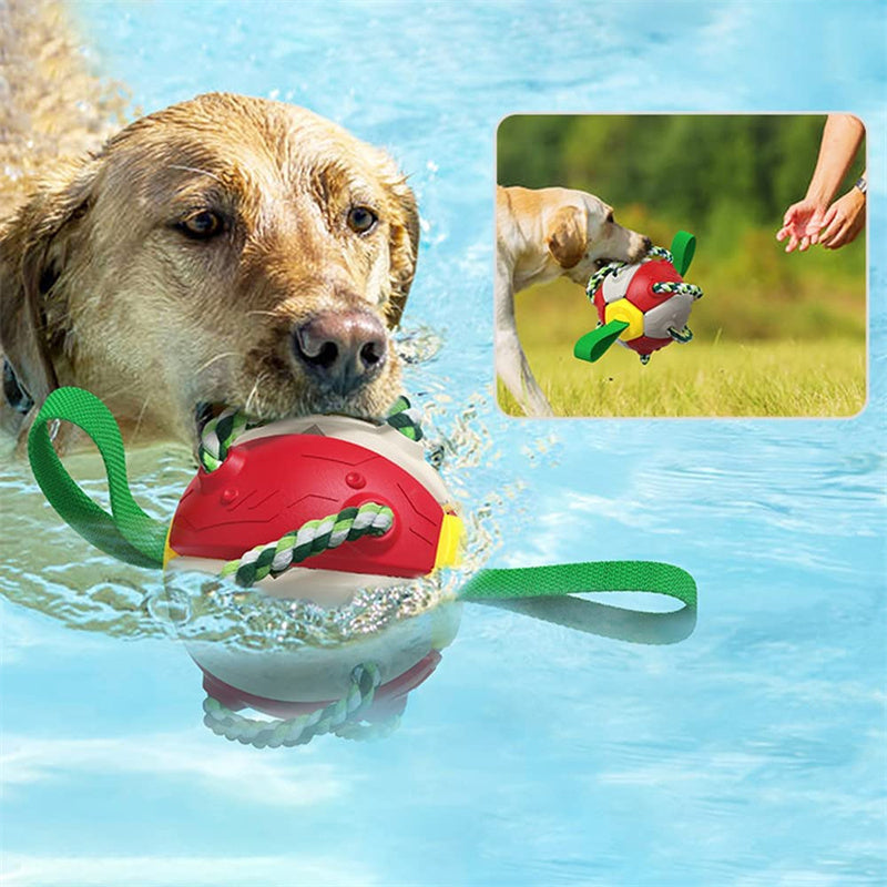 Interactive Dog Soccer Ball Toy