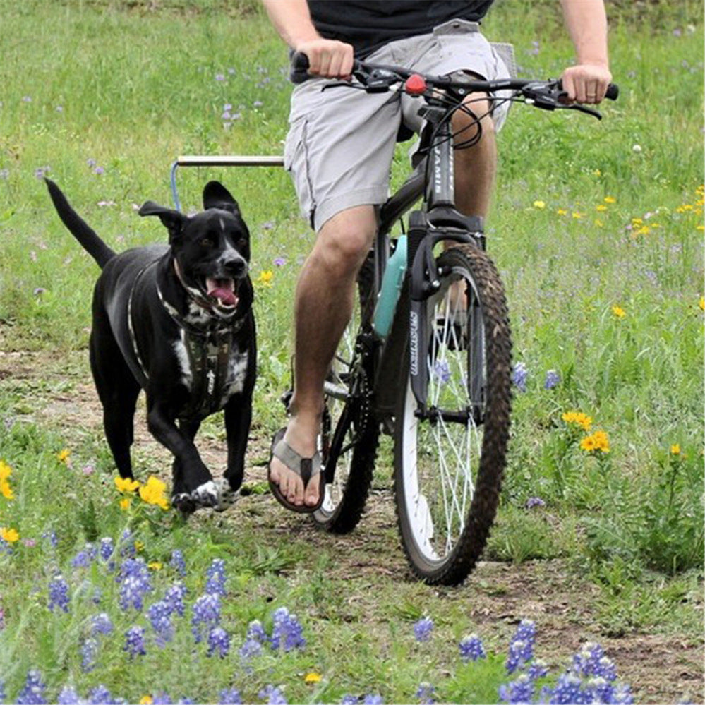 Bicycle Traction Dog Chain