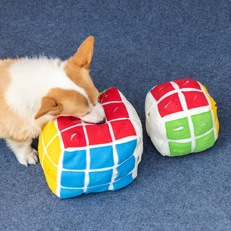 Pet Rubik's Cube Sniffing Toy