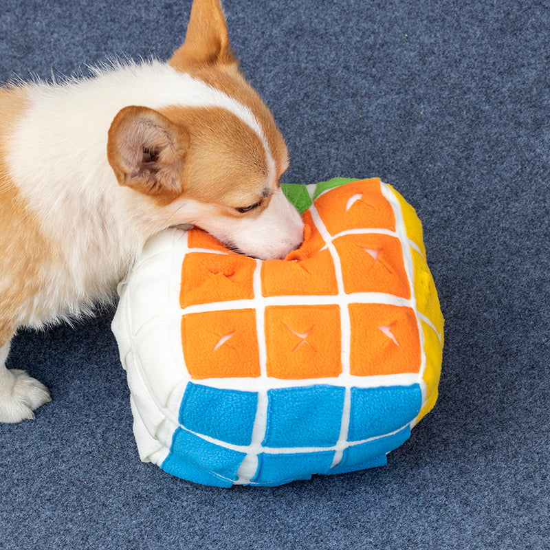 Pet Rubik's Cube Sniffing Toy