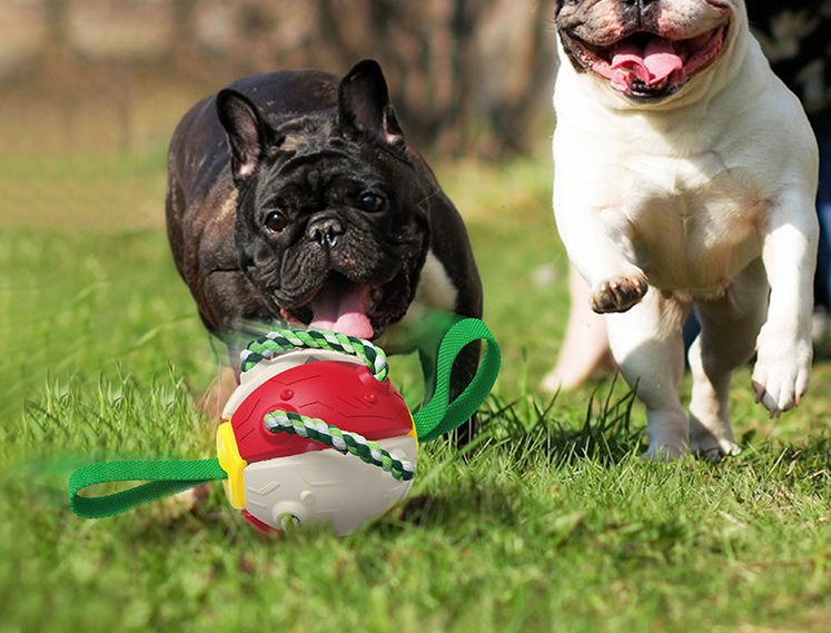 Interactive Dog Soccer Ball Toy