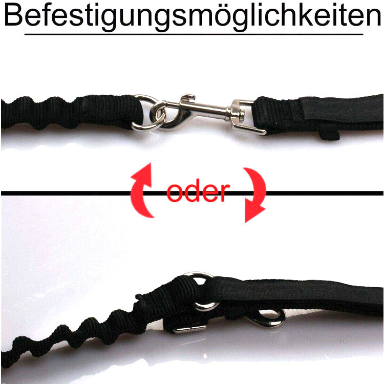 Bicycle Traction Dog Chain